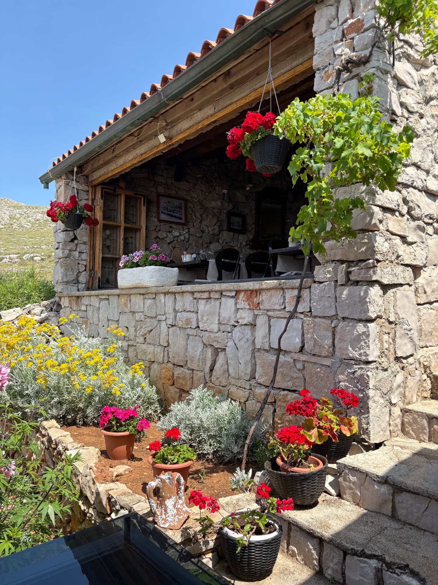 The stone konoba at Opat, geraniums and a vine shading the terrace above the cove